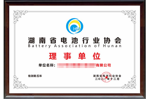 艾克賽普成為湖南省電池行業協會理事單位